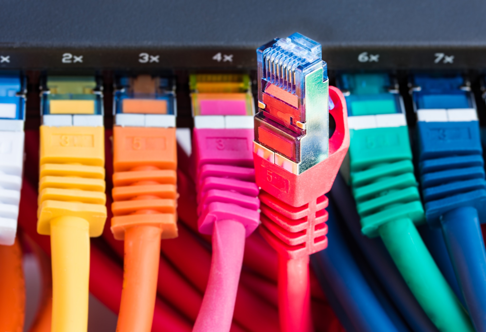 Conectores de red y cableado estructurado